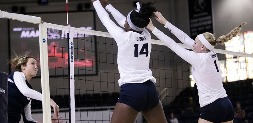 Uafs Volleyball Camps